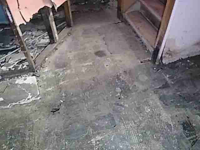 Testing again(57).jpg